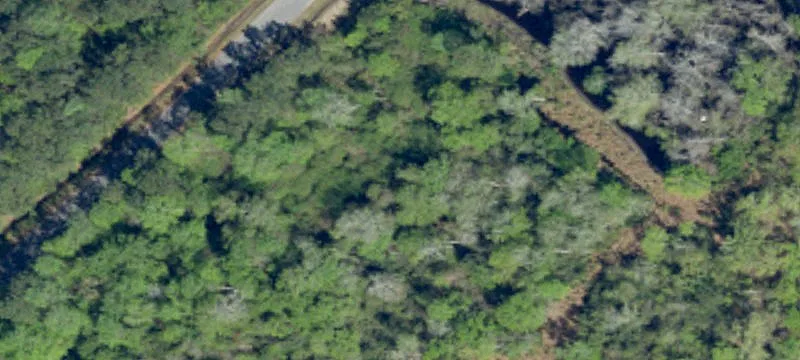 Wooded Homesite in Loris, SC
