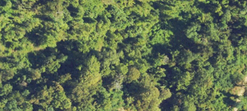 168 Acres Pastureland Near Vicksburg