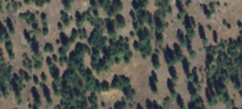 Lake Roosevelt Waterfront Land Parcel