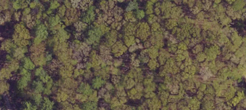 Wooded Homesite Near Maryland Line