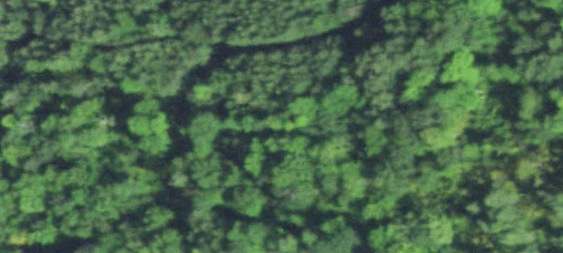 Wooded Land Near Bloomer