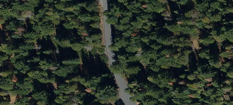Secluded Land Parcel Backing Forestland