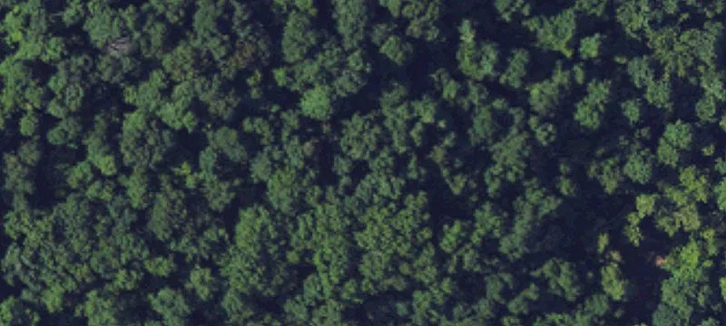 Kentucky Hunting and Recreational Land