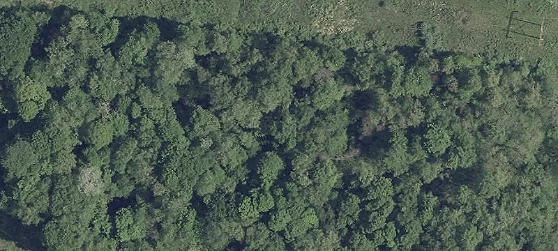 Outstanding Hunting Property For Sale