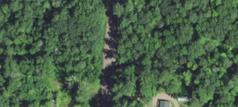 Wooded Lot in Sawyer County