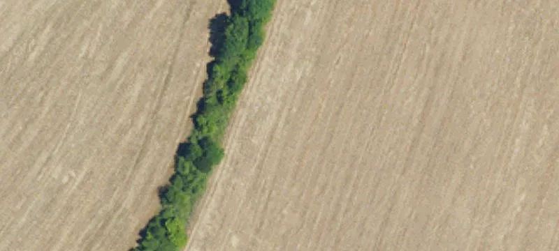 Highway Frontage Commercial Land