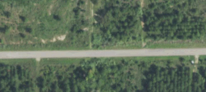Grimes County Acreage Opportunity