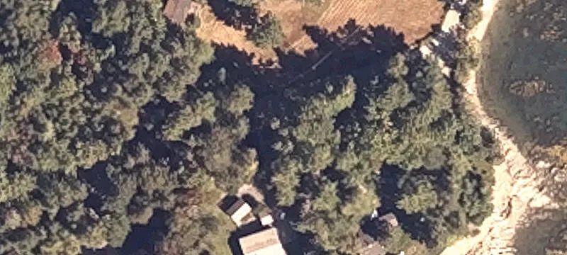 Wooded Acreage Near Frenchman Bay