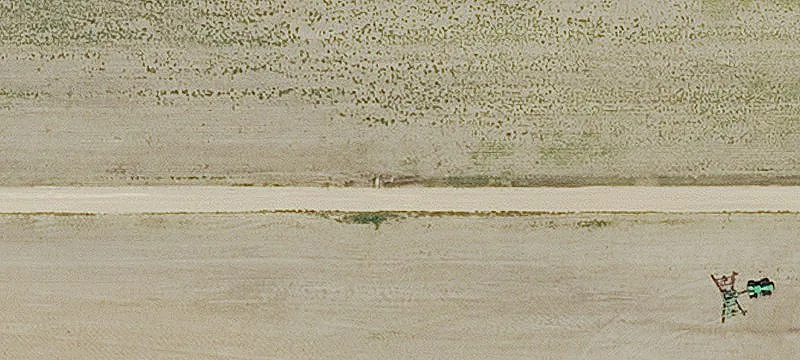 95 Acres Near Delphos, Kansas