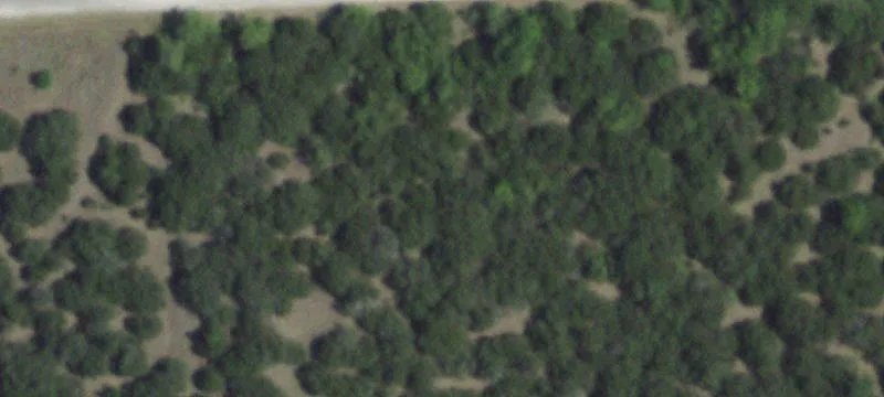 Land in White Bluff Resort