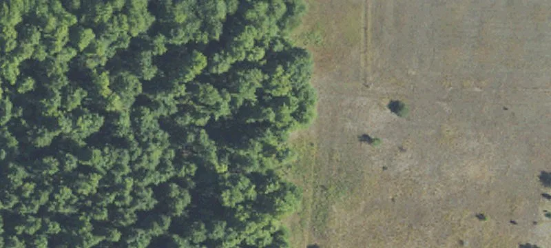 Residential Land Near Kalkaska