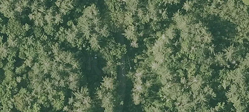 6.25 Acre Land with Views
