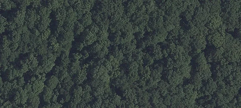 Secluded Homesite with Stream