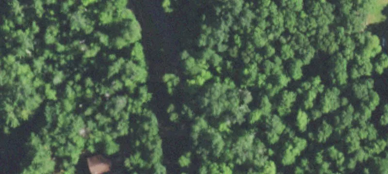 Wolf Island Peninsula Wooded Lots