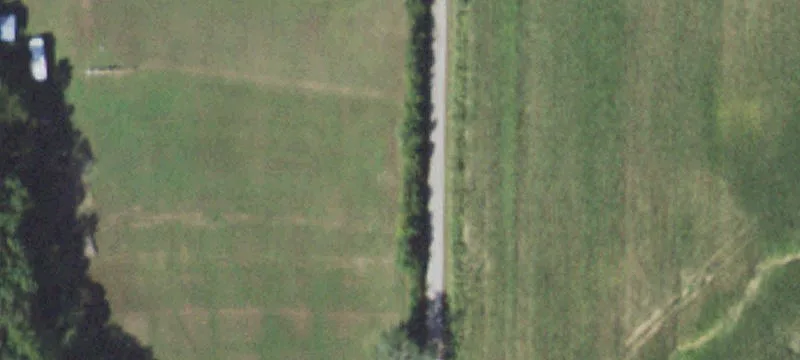 Marion County Hunting and Building