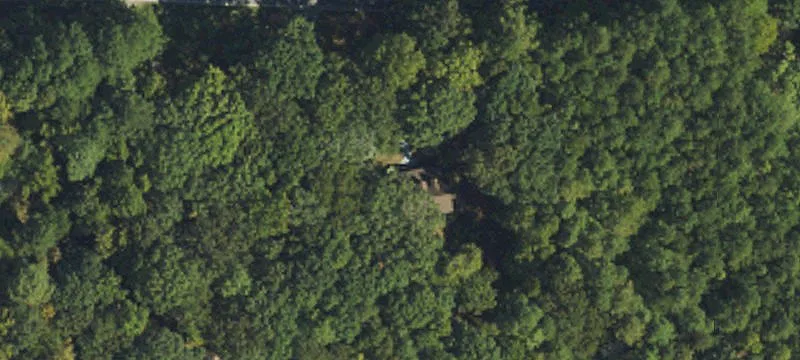 Three Acre Wooded Lot