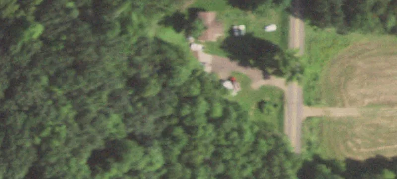 Wheaton Wildflowers: 5+ Acre Lots