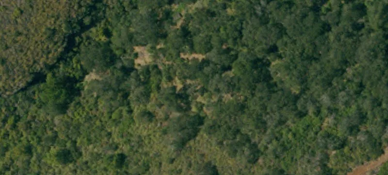 80 Acres in Paradise Valley