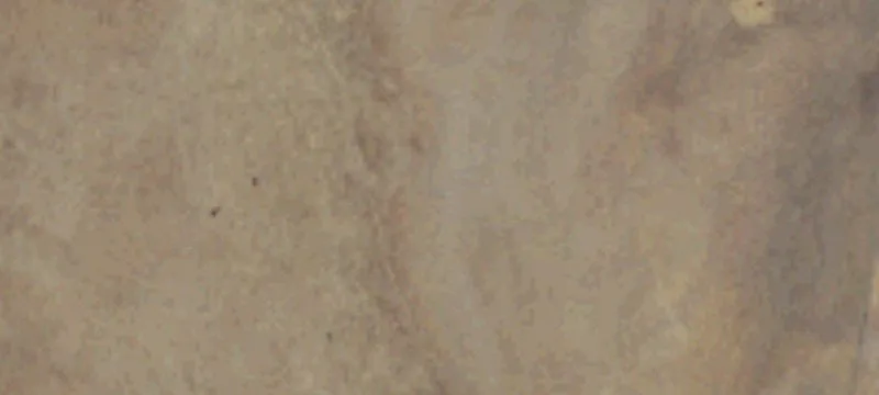 320 Acres of Farmland