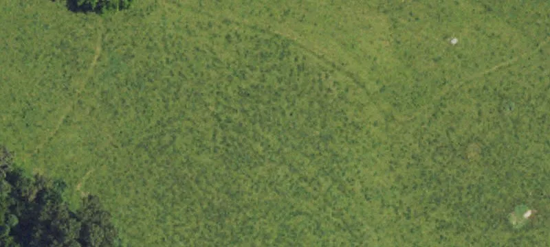 Expansive Cattle Farm with Pastureland