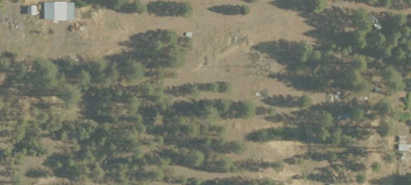 Productive Agricultural Land with Pivots