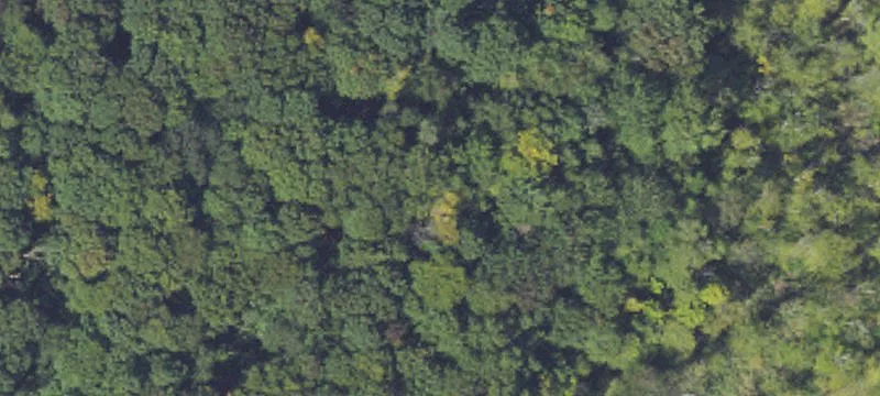 Wooded Parcel Near Platte Lake