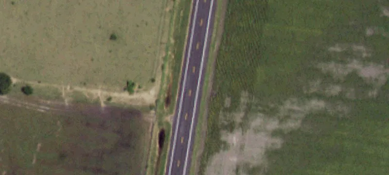 160 Acres of Farmland