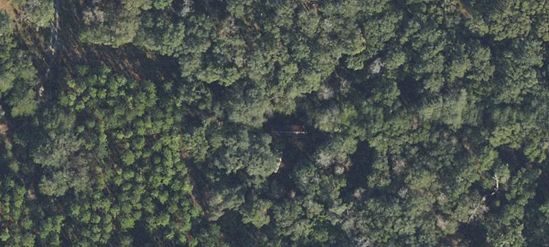 5 Acre Wooded Parcel