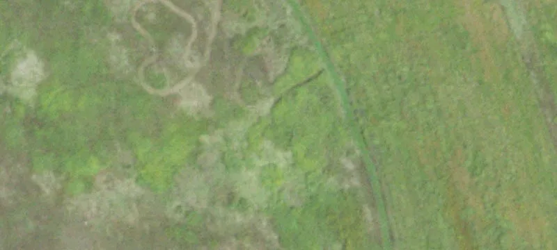 Wooded Land with Hunting Potential