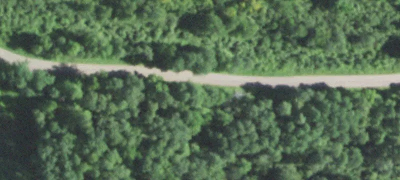 Wooded Hunting Land with Cabin
