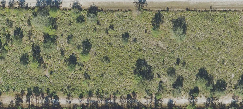 Residential Lot in Golf Community