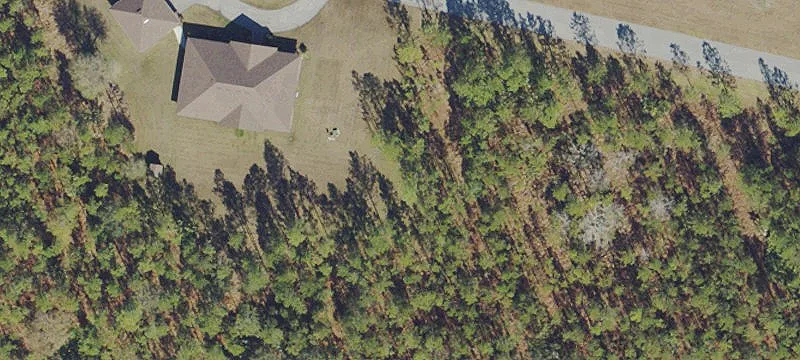 Premier Southeastern Trophy Ranch