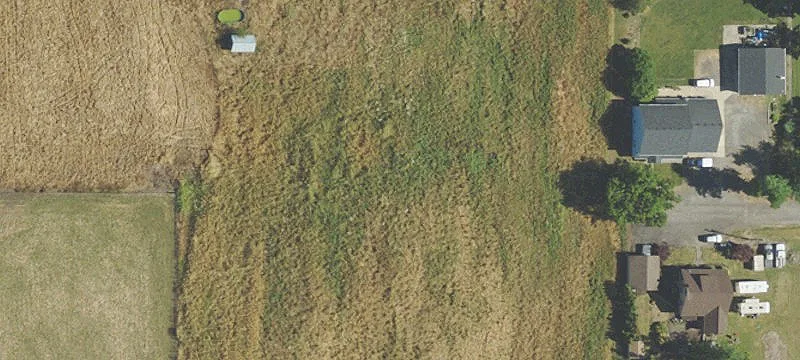 Residential Land in Mt. Angel