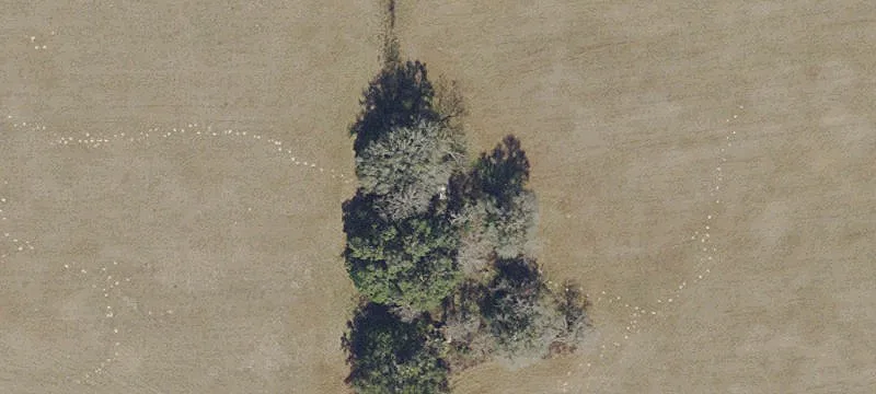 Land For Rent
