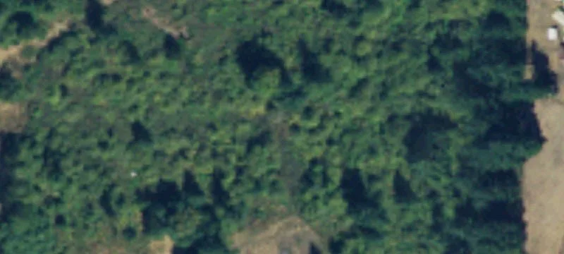 Residential Land in Yelm