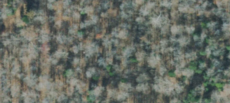 Buildable Lots Near Lake Barkley