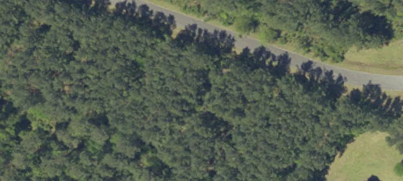 Residential Homesite in Gated Community