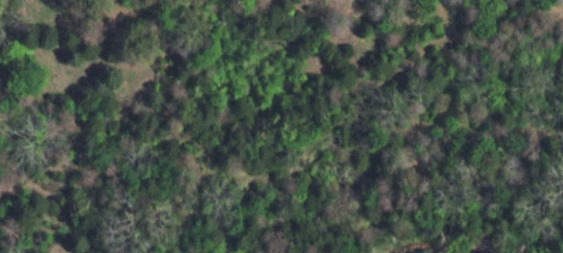 Versatile 10-Acre Agricultural Property