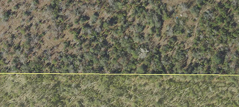 Undeveloped Land in Fountain, Florida
