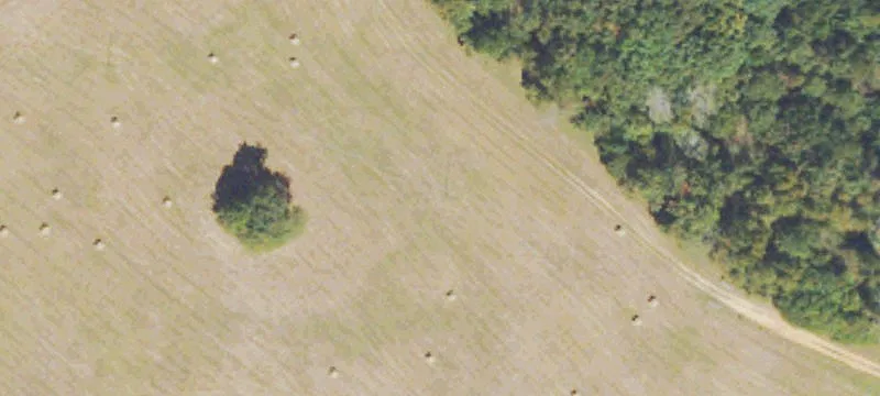 Secluded Acreage with Dual Structures