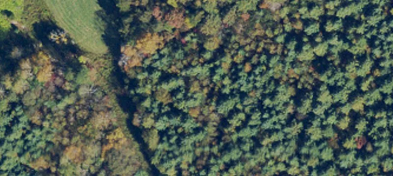 Wooded Lot in Gated Community