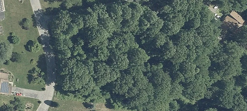 Wooded Land in Quiet Community