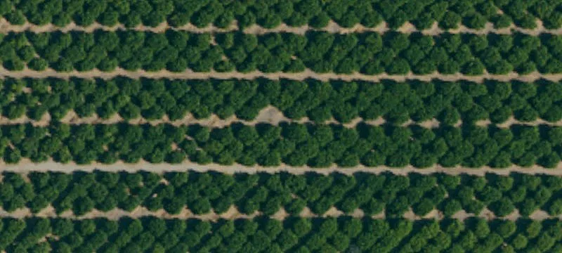 98-Acre Lemon Ranch in Thermal