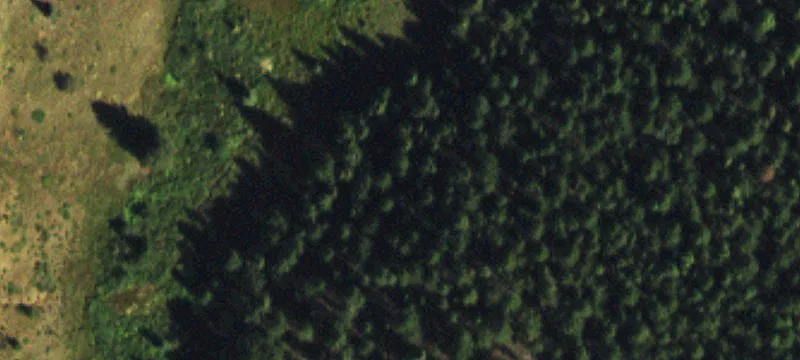 Colorado Mountain Sanctuary Land