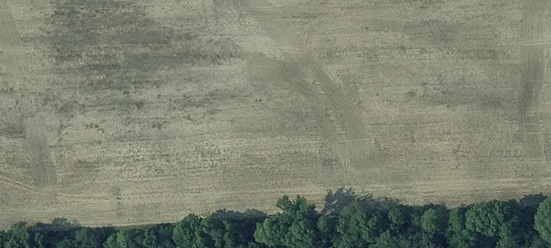 Productive Farm with Two Homes