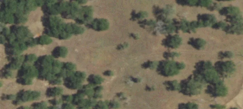 Equestrian and Cattle Ready Property