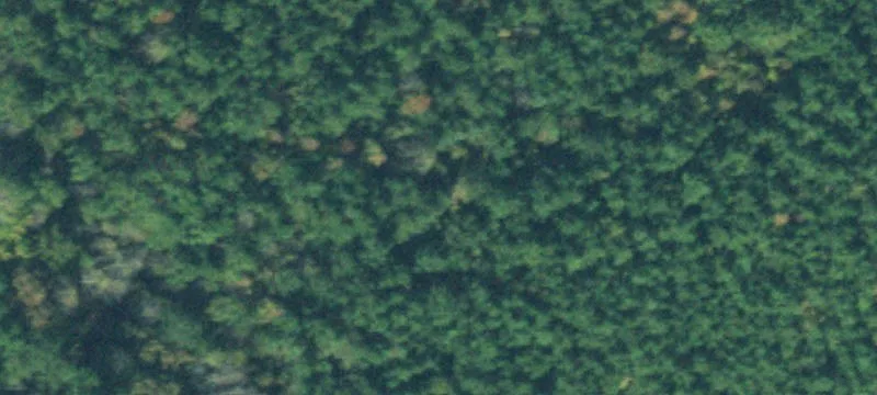 Enville Wooded Land with Road Frontage