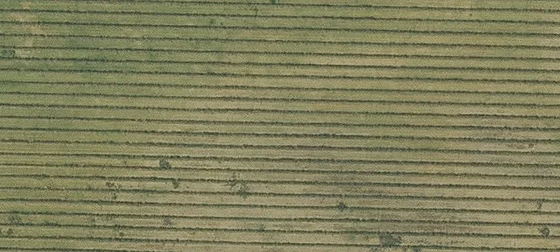 77 Acres Farmland with Irrigation