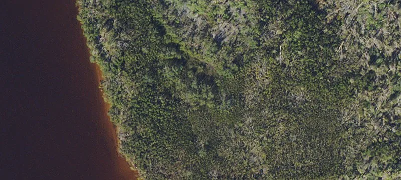 Waterfront Land on Myakka River