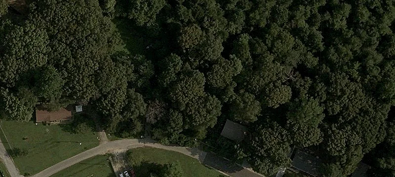 Magnolia Land with Mature Trees